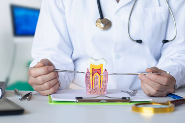 Best Urgent Care for Lost Fillings or Crowns in Chesilhurst, NJ